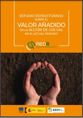 Tokiko Ekintza Taldeen ekintzen balio erantsiari buruzko azterketa egituratua, egungo aldian. LEADERren balio erantsia lurraldean