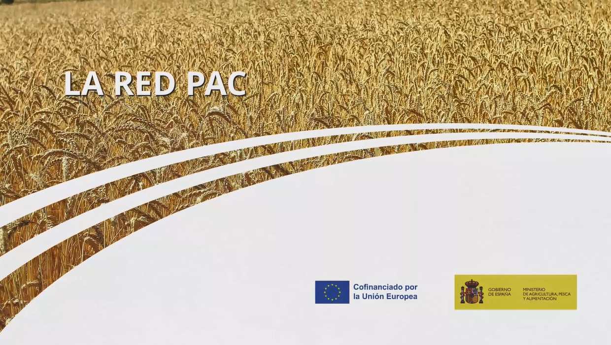 Qu'est-ce que le réseau PAC ? - VIDÉO