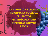 La Comisión Europea reforma su política vitivinícola para enfrentar los retos del futuro