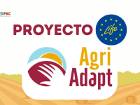proyecto agriadapt