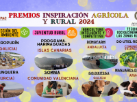 Seleccionados Premios ARIA 2024